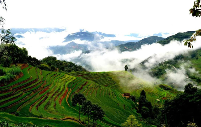 紅河旅游  打卡夏日元陽(yáng)哈尼梯田，暢游綠色仙境