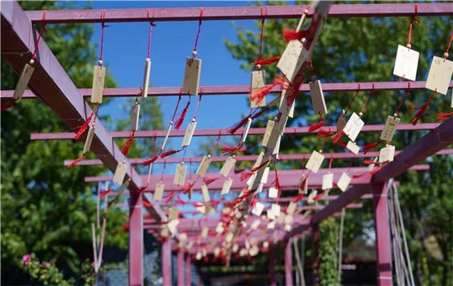 賞花親水、荷塘野趣……楚雄東華濕地公園許你一個(gè)繽紛夏日