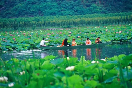 2022普者黑夏令營(yíng)：山水田園，萬(wàn)畝荷花游學(xué)，探訪彝族古村，感知民族文化！