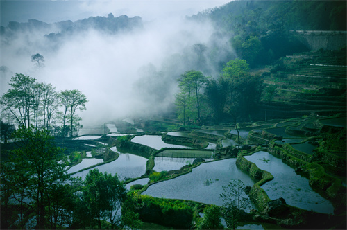 鄉(xiāng)村健康養(yǎng)生產(chǎn)業(yè)的客戶群體有哪些？它有什么開(kāi)發(fā)要點(diǎn)？