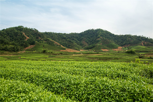 云南研學(xué)旅行地點(diǎn)推薦--昆明親子研學(xué)旅行  啟發(fā)孩子思想  啟迪孩子思維