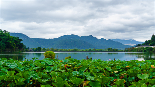 參加夏令營(yíng)有哪些好處 夏令營(yíng)對(duì)孩子的成長(zhǎng)有哪些幫助